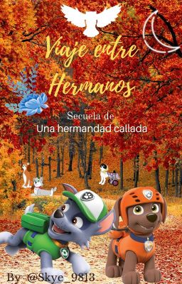 Viaje entre Hermanos