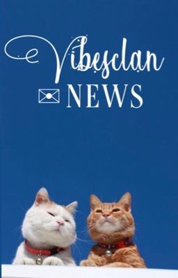 VIBESCLAN NEWS