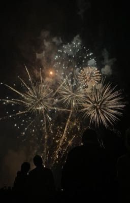 vicho | fireworks