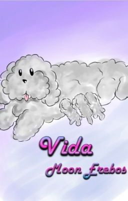 Vida