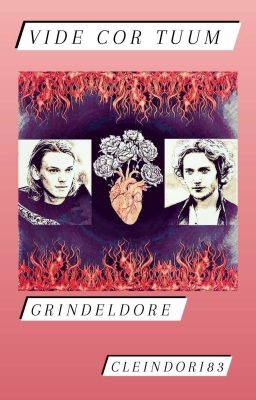 Vide cor tuum [GRINDELDORE]