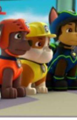 VIEJA AMIGA PAW PATROL