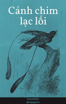 【Vihends】 Cánh chim lạc lối