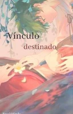 Vínculo destinado |TodoDeku|