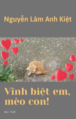 VĨNH BIỆT EM, MÈO CON! | Farewell, Kitten!