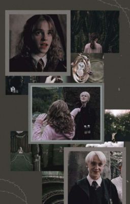 [✓] VITA NOVA || Dramione