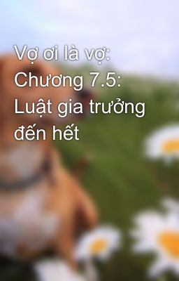 Vợ ơi là vợ: Chương 7.5: Luật gia trưởng đến hết