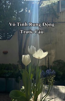 Vô Tình Rung Động Trước Cậu