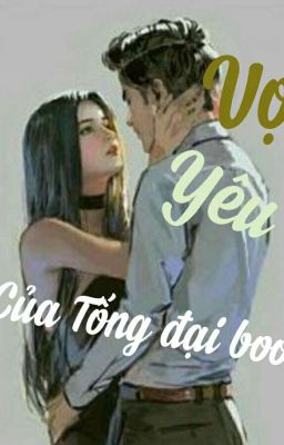 Vợ Yêu Của Tống Đại Boos  - Âu Dương Ngân Lạc -