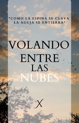 Volando entre las nubes