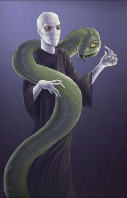 Voldemort and Kronos (A Percy Jackson & Harry Potter Headcanon)