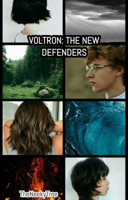 Voltron: The New Defenders Seasons 1 & 2