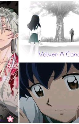 ✿ Volver A Conocerte ✿