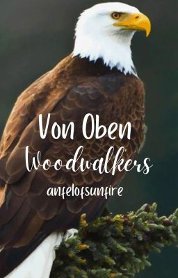 Von Oben II Woodwalkers