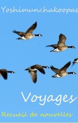 Voyages