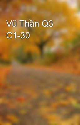 Vũ Thần Q3 C1-30