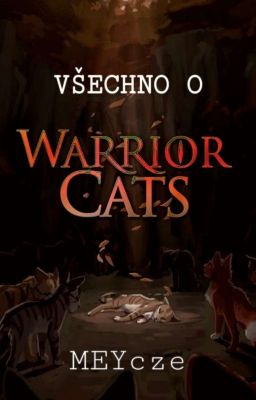 Všechno o Warriors 