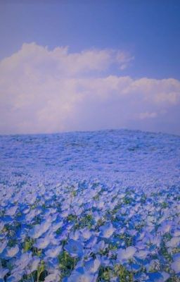 /WakaSen/-Nemophila và em