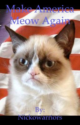 Warrior cat elections