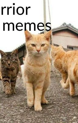 Warrior cat memes 2