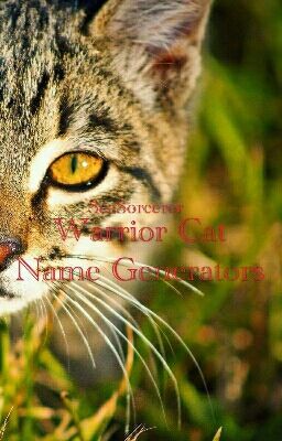 Warrior Cat Name Generators!