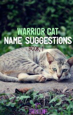 Warrior Cat Name Suggestions!