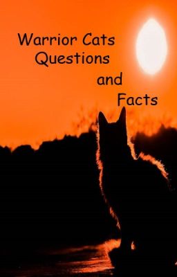 Warrior Cat Questions and Facts!