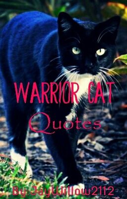 Warrior Cat Quotes