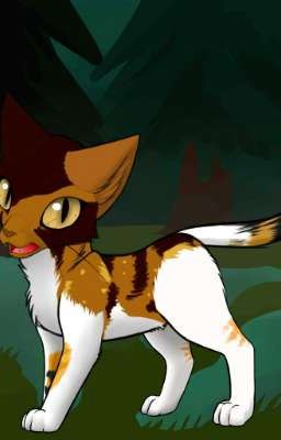 Warrior Cat Roleplay!