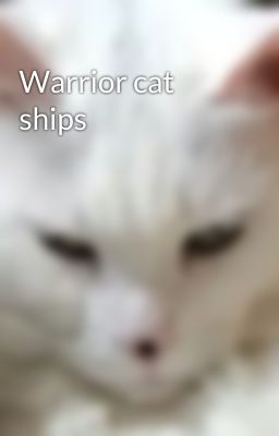 Warrior cat ships