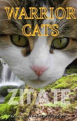 Warrior Cats ~ 100 Zitate 