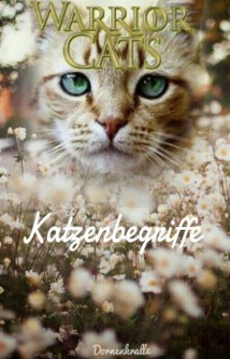 Warrior Cats - Begriffe