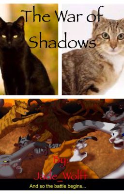 Warrior Cats Book 3: The War of Shadows- Dusk of the Clans