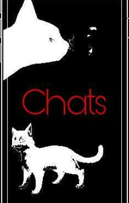 Warrior cats Chats