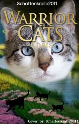 Warrior Cats Chats