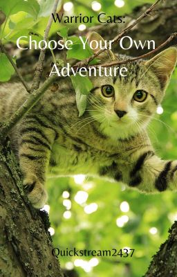 Warrior Cats Choose Your Own Adventure