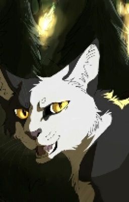 Warrior Cats: Dark Gloom