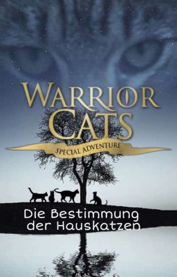 Warrior Cats - Die Bestimmung der Hauskatzen