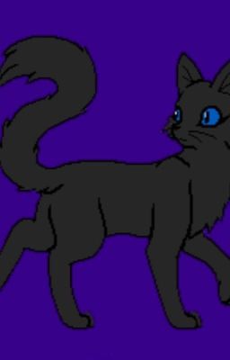  WARRIOR CATS - Feuersterns Reise