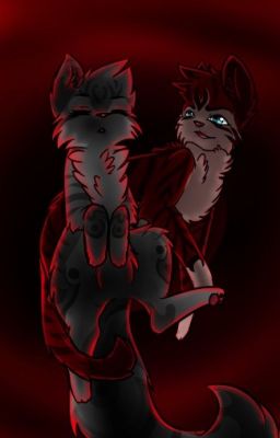 Warrior cats FF- Broken Love