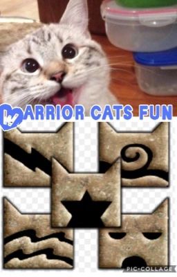 Warrior cats fun!!!