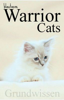 Warrior Cats - Grundwissen