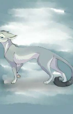 Warrior Cats - Hauch