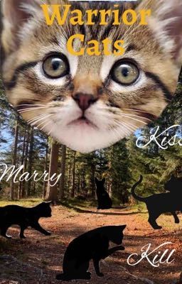 Warrior Cats - Kiss Marry Kill