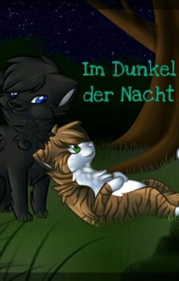 Warrior Cats Kurzgeschichte - Im Dunkel der Nacht