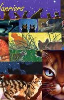 Warrior Cats Lannguage Guide