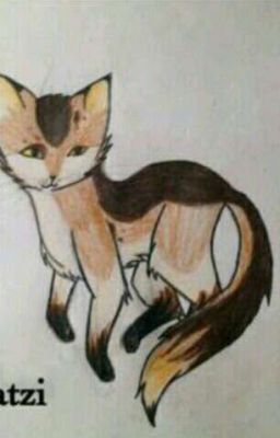 Warrior Cats Malwettbewerbe