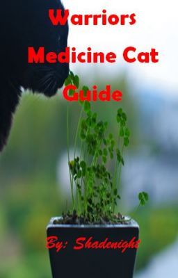 Warrior Cats: Medicene Cat Guide