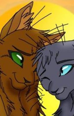 Warrior Cats : Mists of Rocks (Abgebrochen für immer)