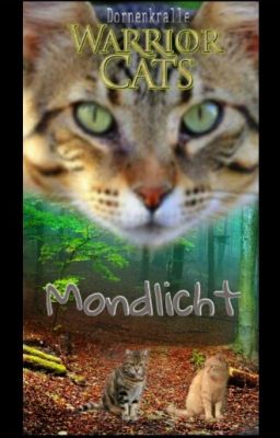 Warrior Cats - Mondlicht